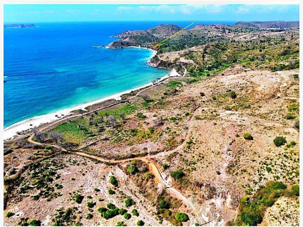 WhatsApp Image 2026-02-05 at 19.56.37