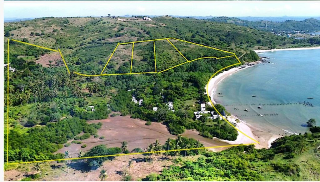 WhatsApp Image 2026-02-05 at 19.56.37 (3)