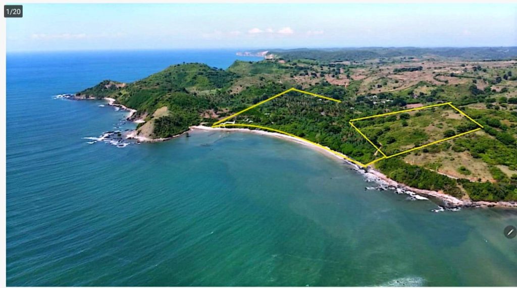 WhatsApp Image 2026-02-05 at 19.56.38